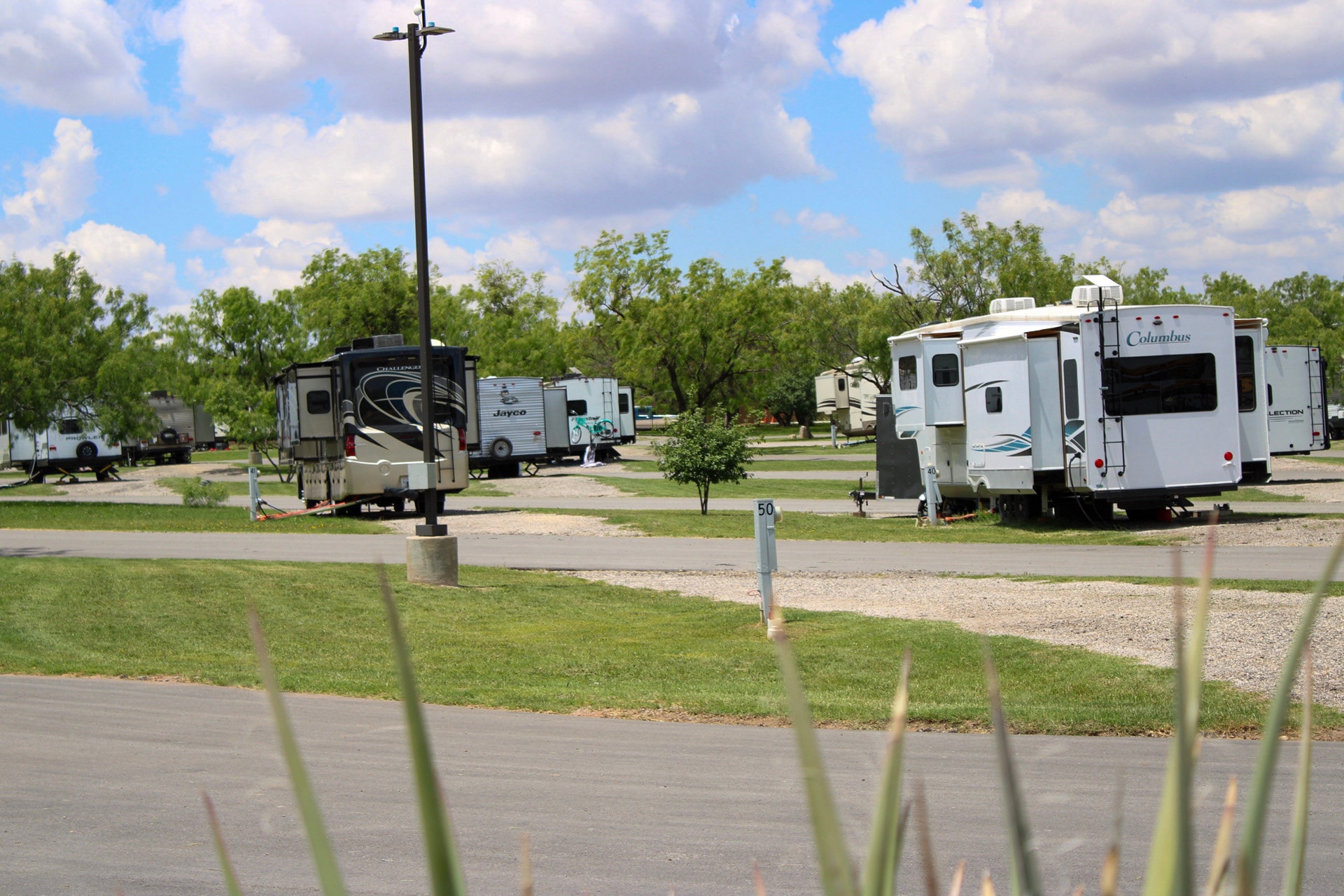 Green grass and trees between RV sites